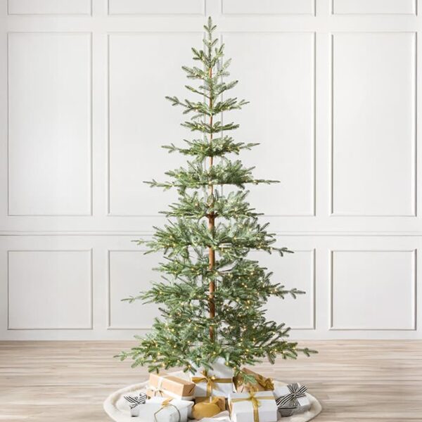 Alpine Balsam Fir Trees